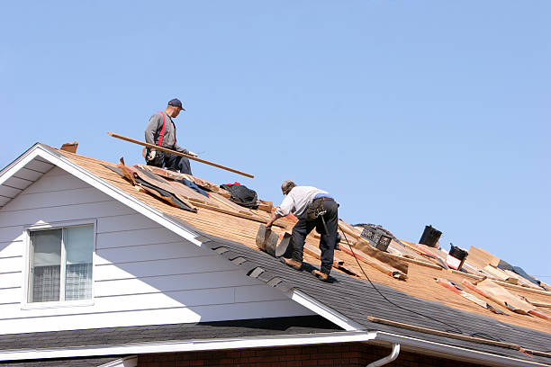 Best Asphalt Shingle Roofing  in Gila Bend, AZ